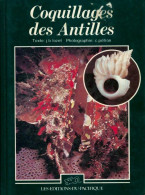 Coquillages Des Antilles (1983) De Collectif - Natura