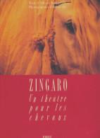 Zingaro : Un Théâtre Pour Les Chevaux (1990) De Alt - Politique