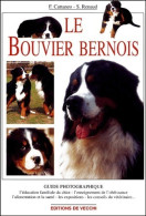 Le Bouvier Bernois (2002) De Sylvie Rainaud - Animaux