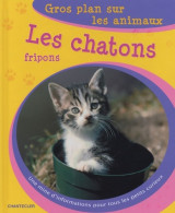 Les Chatons Fripons (2005) De Wan-Ling Sun - Dieren