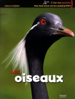 Oiseaux (les) (2009) De Jean Grosson - Altri & Non Classificati