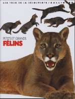 Petits Et Grands Félins (2005) De Juliet ; Clutton-Brock Clutton-Brock - Animales