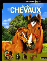 Chevaux (2008) De Jackie Budd - Altri & Non Classificati