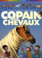 Copain Des Chevaux (2009) De Jean-François Ballereau - Altri & Non Classificati