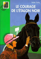 Le Courage De L'étalon Noir (2001) De Walter Farley - Altri & Non Classificati