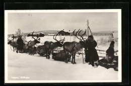 AK Lappar, Gällivare, Schwedische Lappen Mit Ihren Rentieren Im Schnee  - Non Classificati