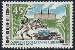THEMATIQUE AGRICULTURE:  CAMPAGNE POUR LA CANNE A' SUCRE   -    CONGO - Landwirtschaft