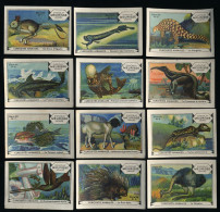 Meurisse - Ca 1930 - 101 - Curiosités Animales, Strange Animals - Full Serie - Andere & Zonder Classificatie