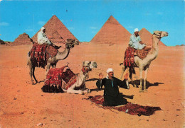 EGYPTE - La Prière - Giza - Arab Camelriders In Front Of The Pyramids - Animé - Pyramides - Carte Postale - Guiza