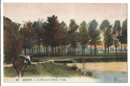 80  Amiens - Le Parc De La Hotoie - Amiens