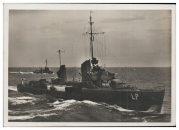 S5588/ Torpedoboot Leopard Marine Foto AK 2. Weltkrieg Ca.1940 - Guerra