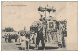 S5584/ Indien AK  Elephant Of The Gaikwar   Elefanten 1914 - India