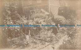 R029352 Old Postcard. In The Garden - World