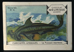 Meurisse - Ca 1930 - 101 - Curiosités Animales, Strange Animals - 4 - Le Poisson Marteau, Hammerhead - Autres & Non Classés