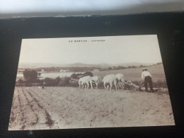 B1/199-EN MORVAN - LABOURAGE - Boerderijen