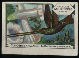 Meurisse - Ca 1930 - 101 - Curiosités Animales, Strange Animals - 10 - Le Docimaste Porte-épée, Colibri, Kolibri - Altri & Non Classificati