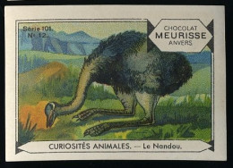 Meurisse - Ca 1930 - 101 - Curiosités Animales, Strange Animals - 12 - Le Nandou, Rhea - Otros & Sin Clasificación