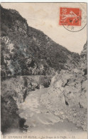 BLIDA - Les   Gorges De La Chiffa - - Blida