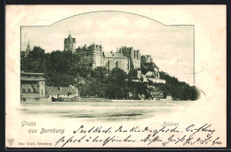 AK Bernburg, Schloss, Panorama  - Bernburg (Saale)