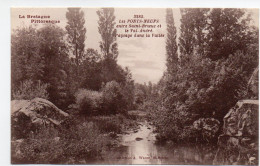 22 - VAL-ANDRE - Les Ponts Neufs - Paysage Dans La Vallée - Pléneuf-Val-André