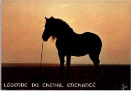 BRETAGNE En Couleurs. -  Légende Du Cheval Enchanté          Non Circulée - Bretagne