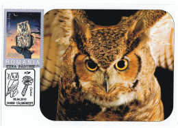 MAX 28 - 214 OWL, Romania - Maximum Card - 2010 - Cartoline Maximum