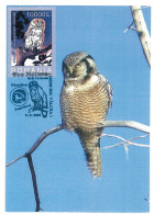 MAX 28 - 695 OWL, Romania - Maximum Card - 2005 - Maximum Cards & Covers