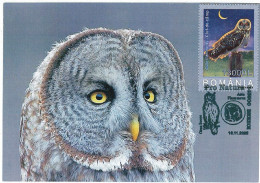 MAX 28 - 111 OWL, Romania - Maximum Card - 2005 - Maximum Cards & Covers