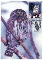 MAX 28 - 95 OWL, Romania - Maximum Card - 2005 - Maximum Cards & Covers