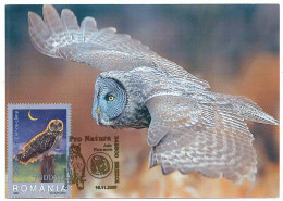 MAX 28 - 108 OWL, Romania - Maximum Card - 2005 - Maximum Cards & Covers