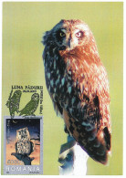 MAX 28 - 92 OWL, Romania - Maximum Card - 2005 - Cartoline Maximum