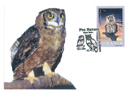 MAX 28 - 662 OWL, Romania - Maximum Card - 2005 - Maximum Cards & Covers