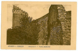 RO 44 - 3719 CODLEA, Brasov, Romania, Turnul Tesatorilor - Old Postcard - Unused - Rumänien