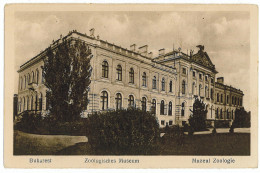 RO 44 - 1335 BUCURESTI, Romania, Zoological Museum - Old Postcard - Used - Roumanie