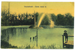 RO 44 - 21287 BUZIAS, Timis, Romania - Old Postcard - Used - 1913 - Romania