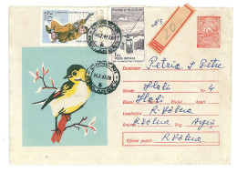 IP 67 - 035 BIRD, Titmouse, Romania - Registered Stationery - Used - 1967 - Interi Postali