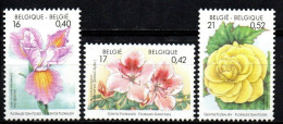 Belgien 2000 - Mi.Nr. 2954 - 2956 - Postfrisch MNH - Blumen Flowers - Andere & Zonder Classificatie