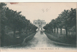 *** 55  ***  REVIGNY  L'allée Des Tilleuils écrite TTBE  - Revigny Sur Ornain