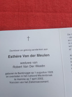 Doodsprentje Esthère Van Der Meulen / Bambrugge 1/8/1926 Hamme 7/4/2002 ( Robert Van Der Weeën ) - Religion & Esotérisme