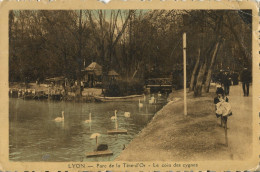 69.n° 25242. Lyon . Parc De La Tete D Or . Le Coin Des Cygnes . - Otros & Sin Clasificación