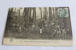 Chasse à Coure En Forêt De Fontainebleau - Avant Le Découpler - Fontainebleau