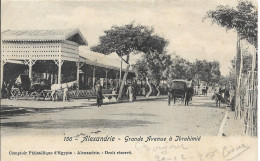 Cpa Alexandrie, Grande Avenue à Ibrahimié, Cheval - Alexandrie