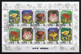 Korea 1991 Mushrooms Sheet  Y.T. 2217/2221  (0) - Corea Del Nord