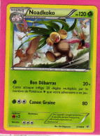 Carte Pokemon Francaise 2015 Xy Ciel Rugissant 2/108 Noadkoko 120pv Occasion - XY