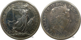 Royaume-Uni - Elizabeth II - Two Pounds - One Ounce Fine Silver 2012 - AUNC Hairlines - Mon6088 - 2 Pounds