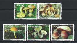 Guyana 1993 Mushrooms   (0) - Guyane (1966-...)