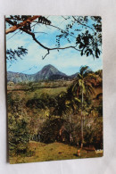 N615, Cpm 1979, Paysage Du Morne Vert, Maritinique - Other & Unclassified