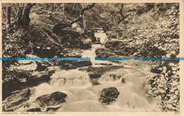 R029384 Lynmouth. Falls At Watersmeet. Photochrom. No 8237. 1934 - Welt