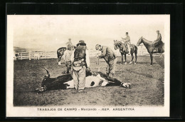 AK Argentina, Trabajos De Campo, Marcando, Einheimische Mit Einem Rind  - Sin Clasificación