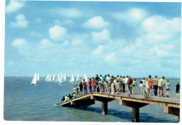 CPM FRANCE 17 CHARENTE-MARITIME RONCE-LES-BAINS - La Jetée De La Plage Brochard - Otros & Sin Clasificación